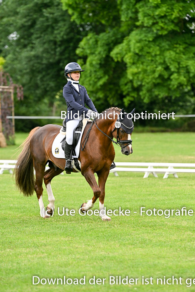  | 30052025 Dressur  (611) 