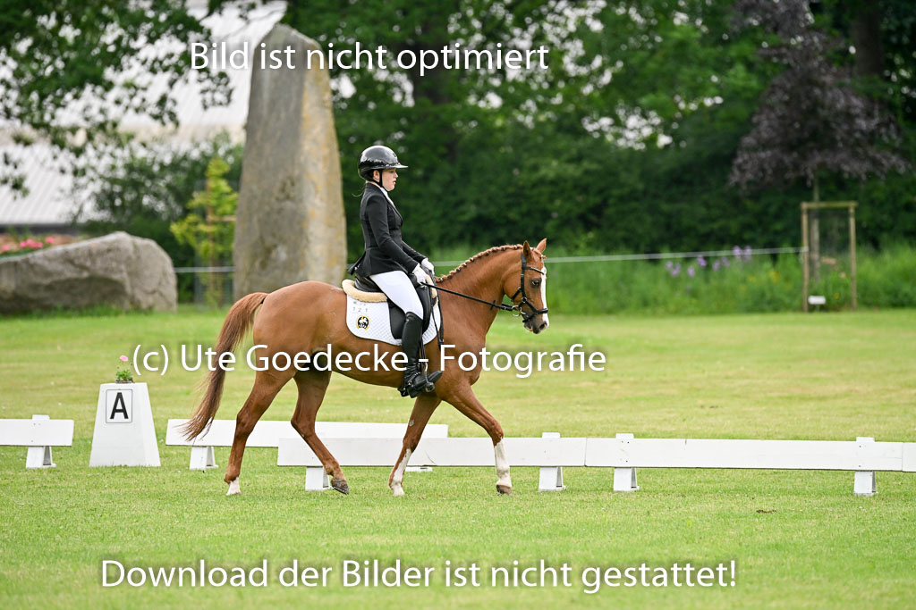  | 30052025 Dressur  (616) 