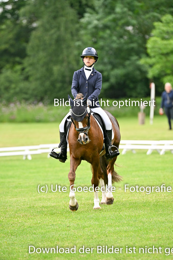  | 30052025 Dressur  (617) 