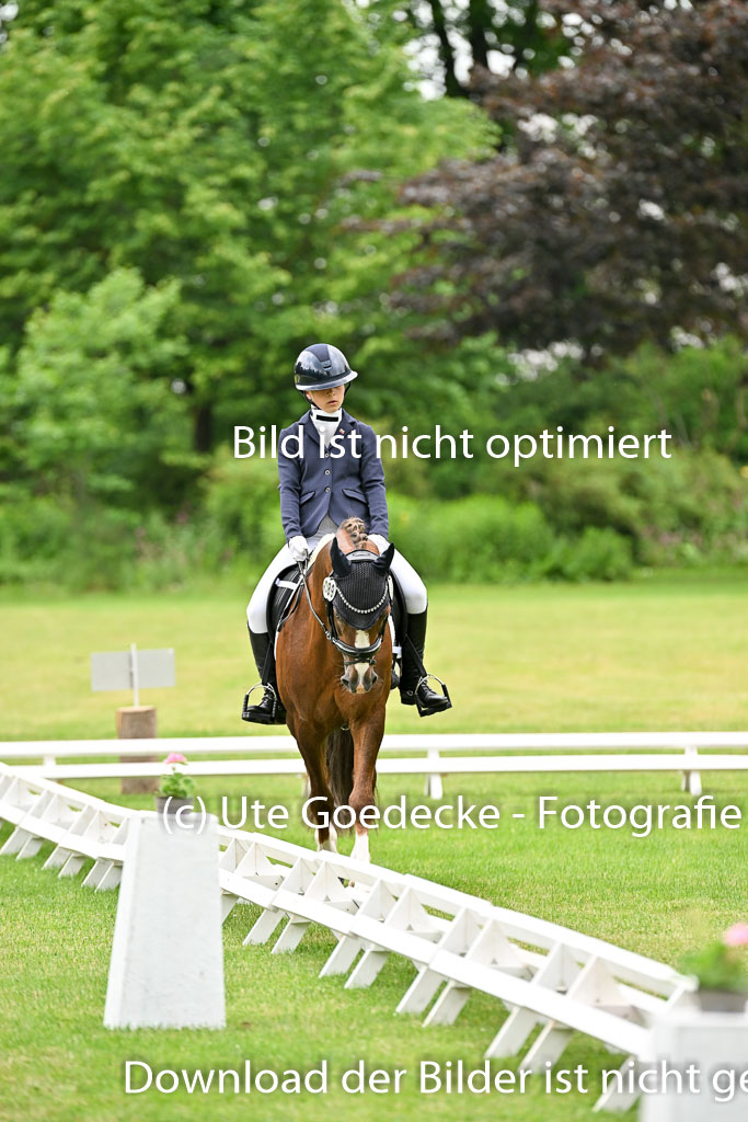  | 30052025 Dressur  (621) 