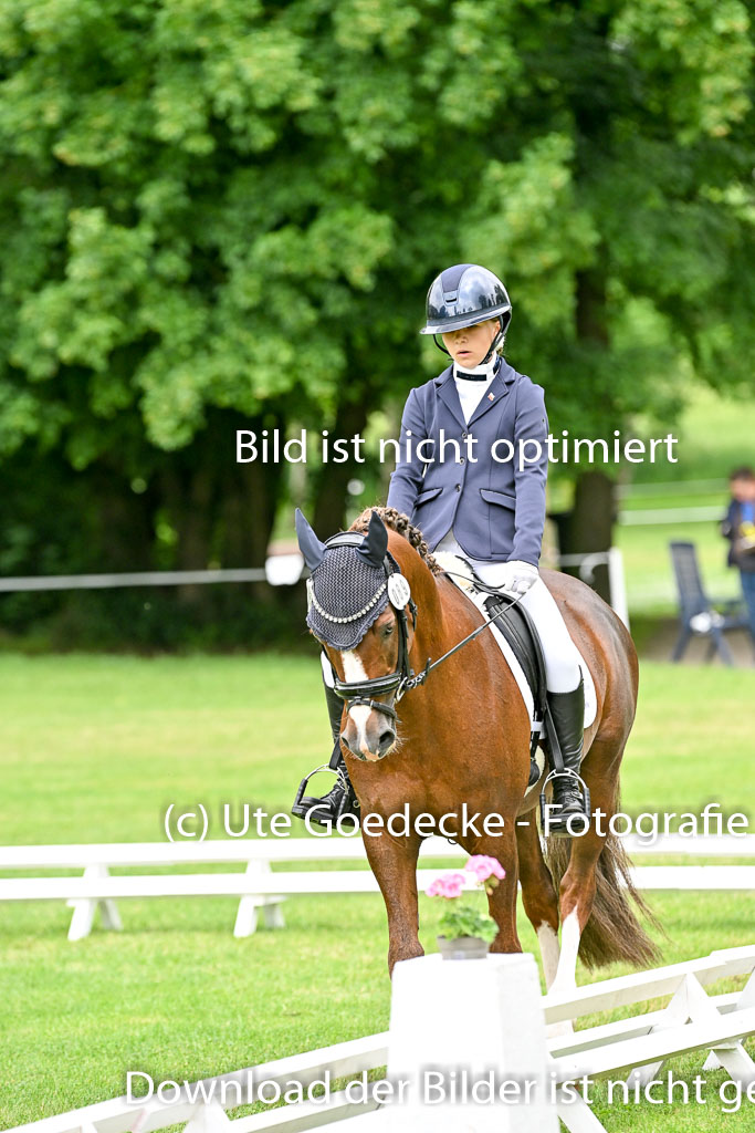  | 30052025 Dressur  (623) 