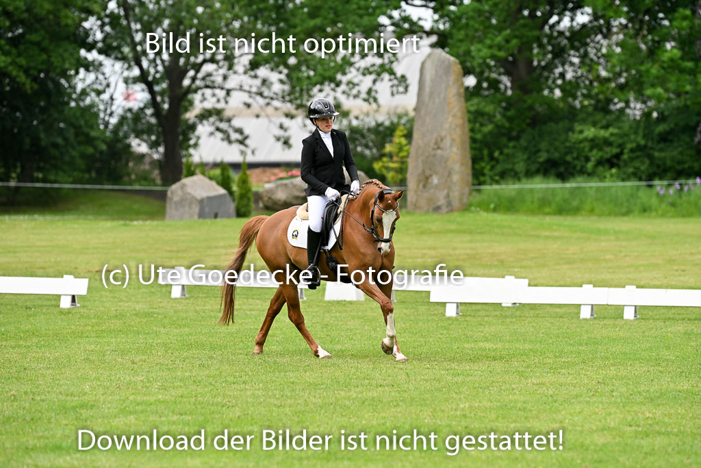  | 30052025 Dressur  (631) 