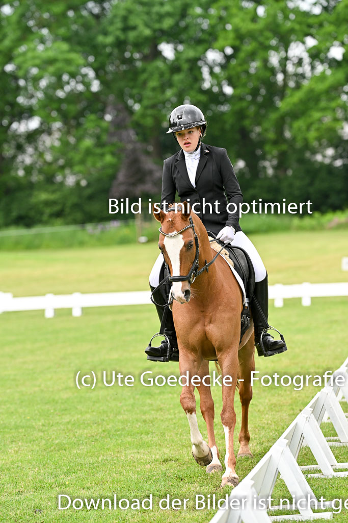  | 30052025 Dressur  (633) 