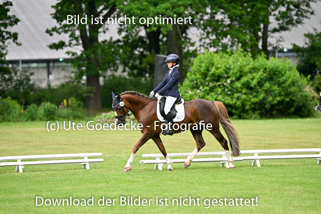  | 30052025 Dressur  (634) 