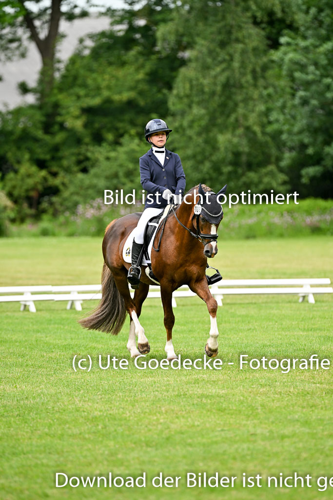  | 30052025 Dressur  (643) 