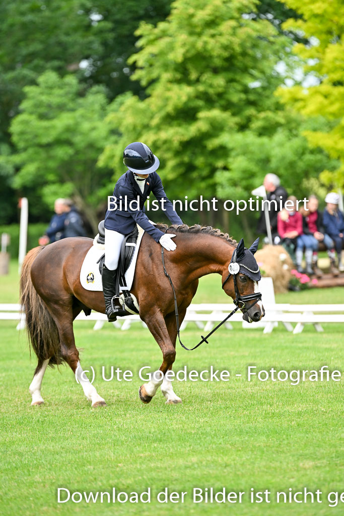  | 30052025 Dressur  (645) 