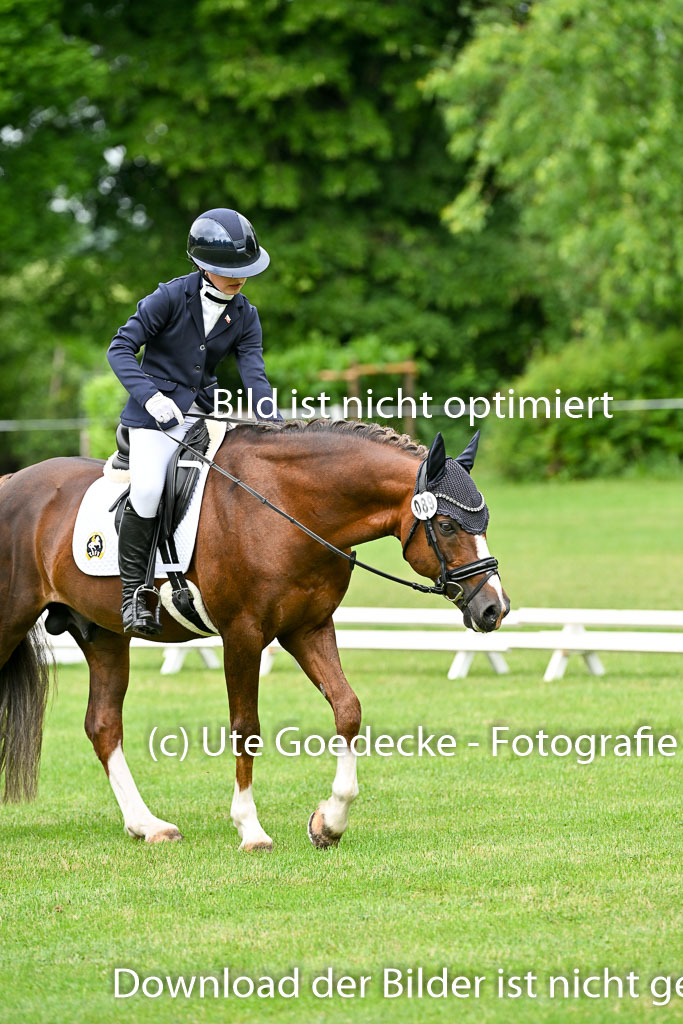  | 30052025 Dressur  (646) 