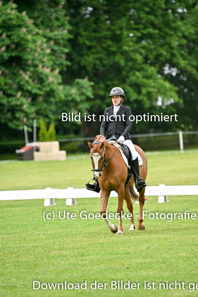  | 30052025 Dressur  (647) 