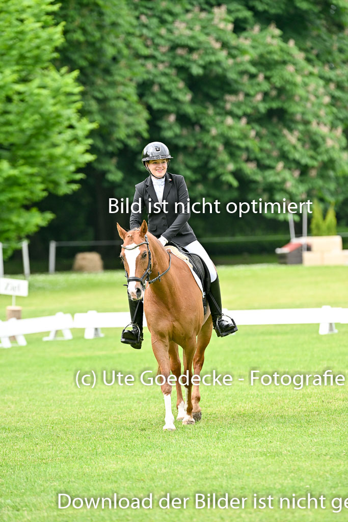  | 30052025 Dressur  (650) 