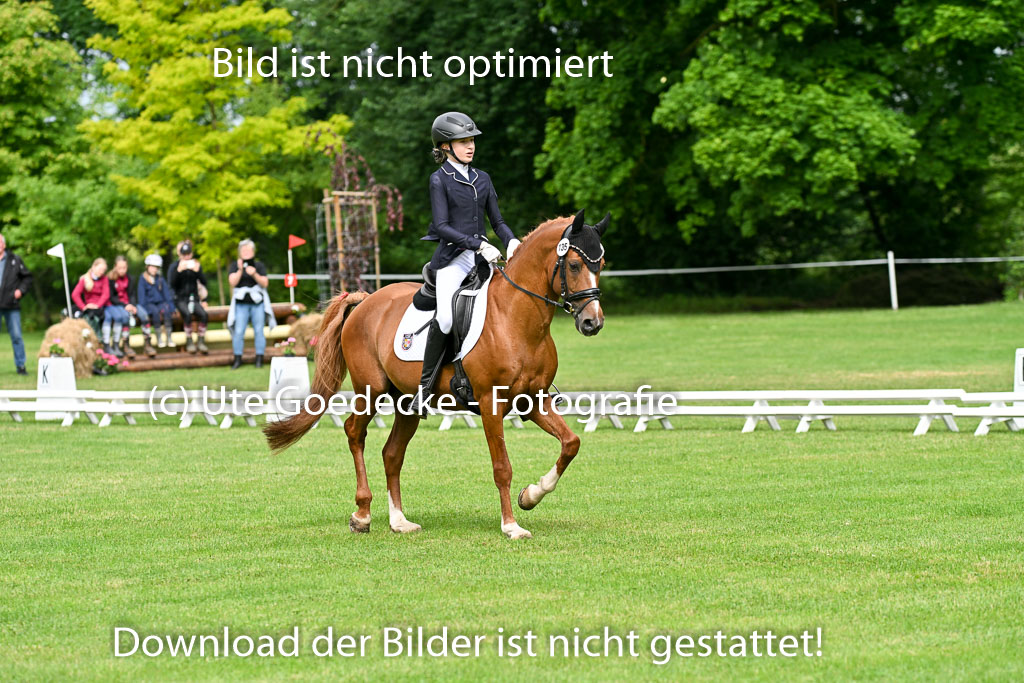  | 30052025 Dressur  (652) 