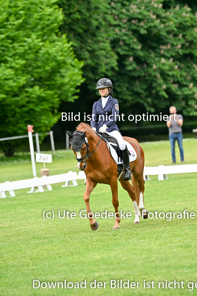  | 30052025 Dressur  (658) 