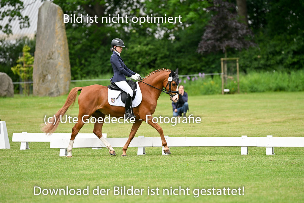  | 30052025 Dressur  (662) 