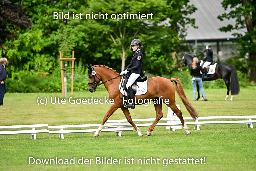 | 30052025 Dressur  (670) 