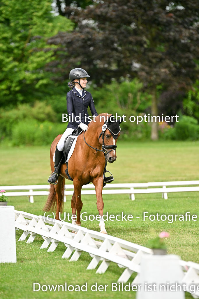  | 30052025 Dressur  (672) 