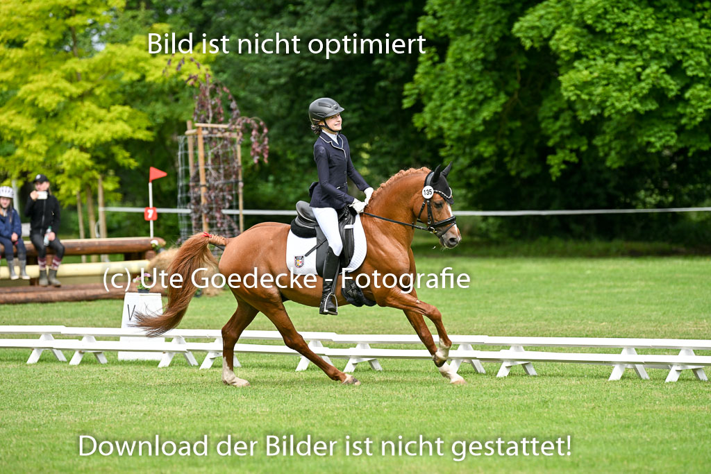  | 30052025 Dressur  (682) 