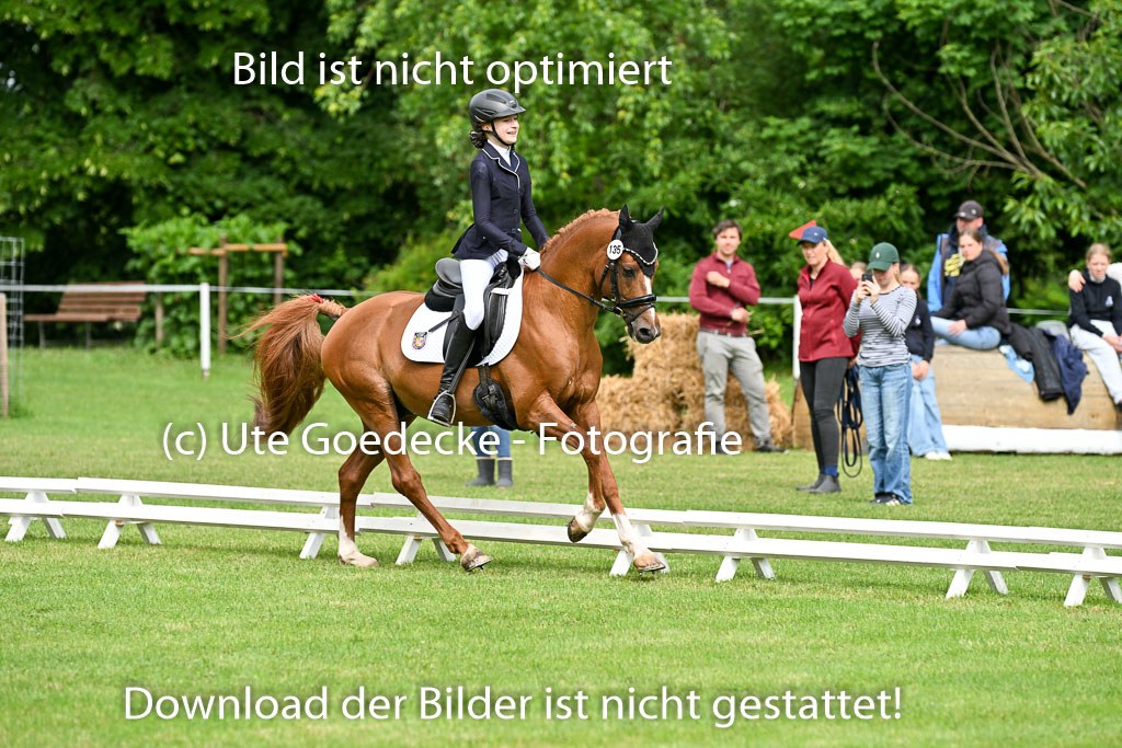  | 30052025 Dressur  (684) 