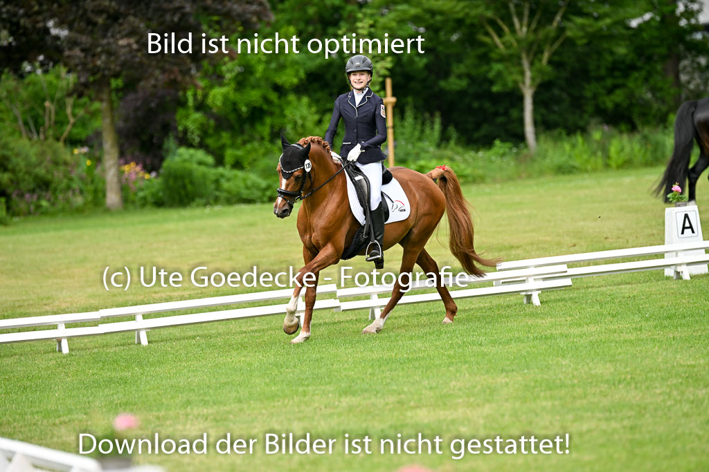  | 30052025 Dressur  (685) 