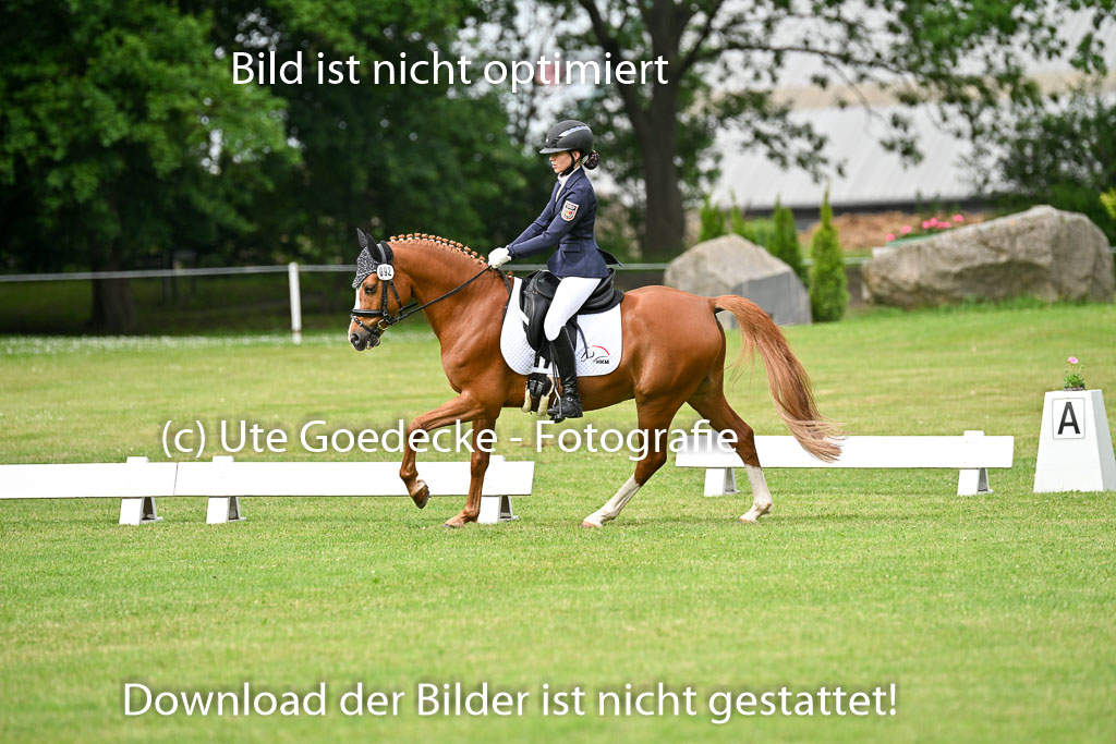  | 30052025 Dressur  (686) 