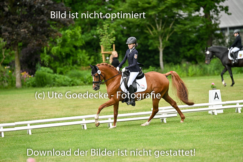  | 30052025 Dressur  (689) 