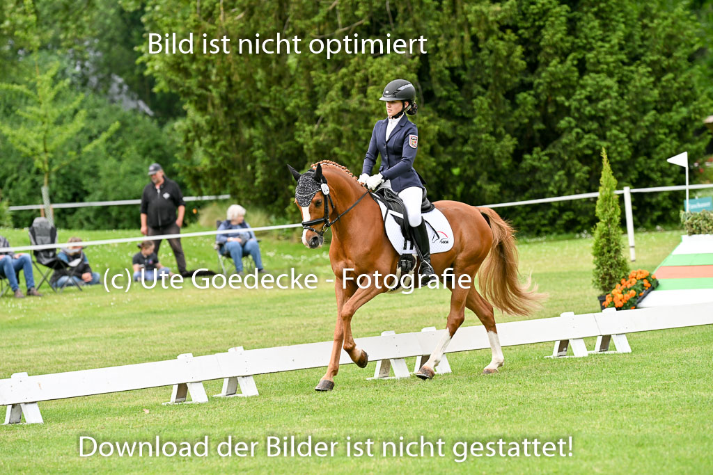  | 30052025 Dressur  (693) 