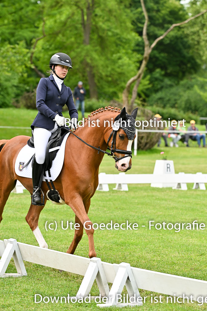  | 30052025 Dressur  (695) 