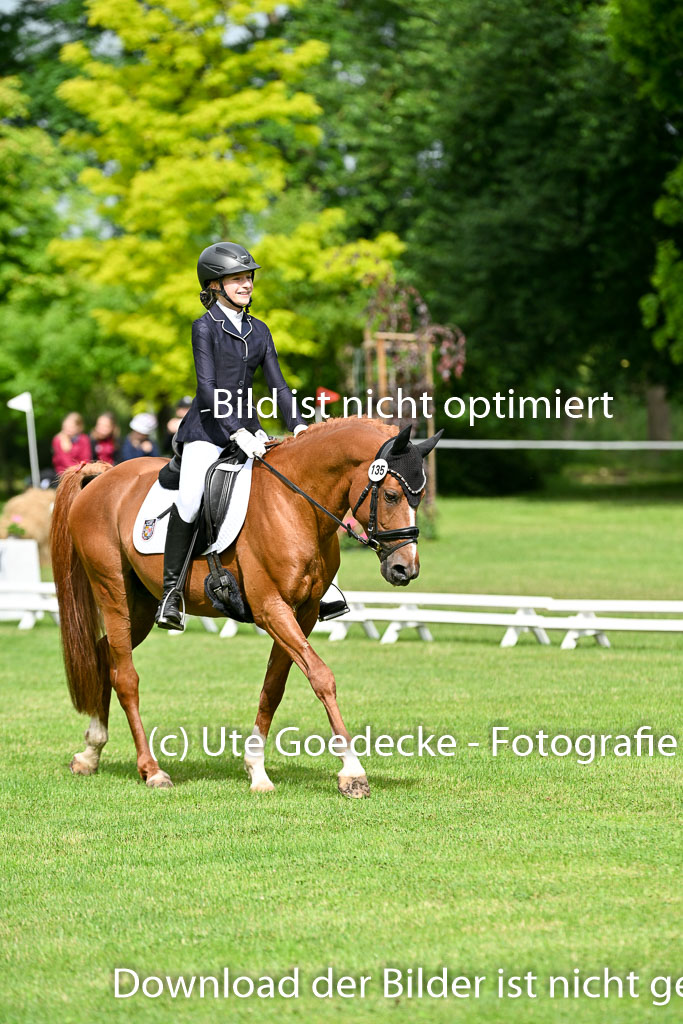  | 30052025 Dressur  (699) 