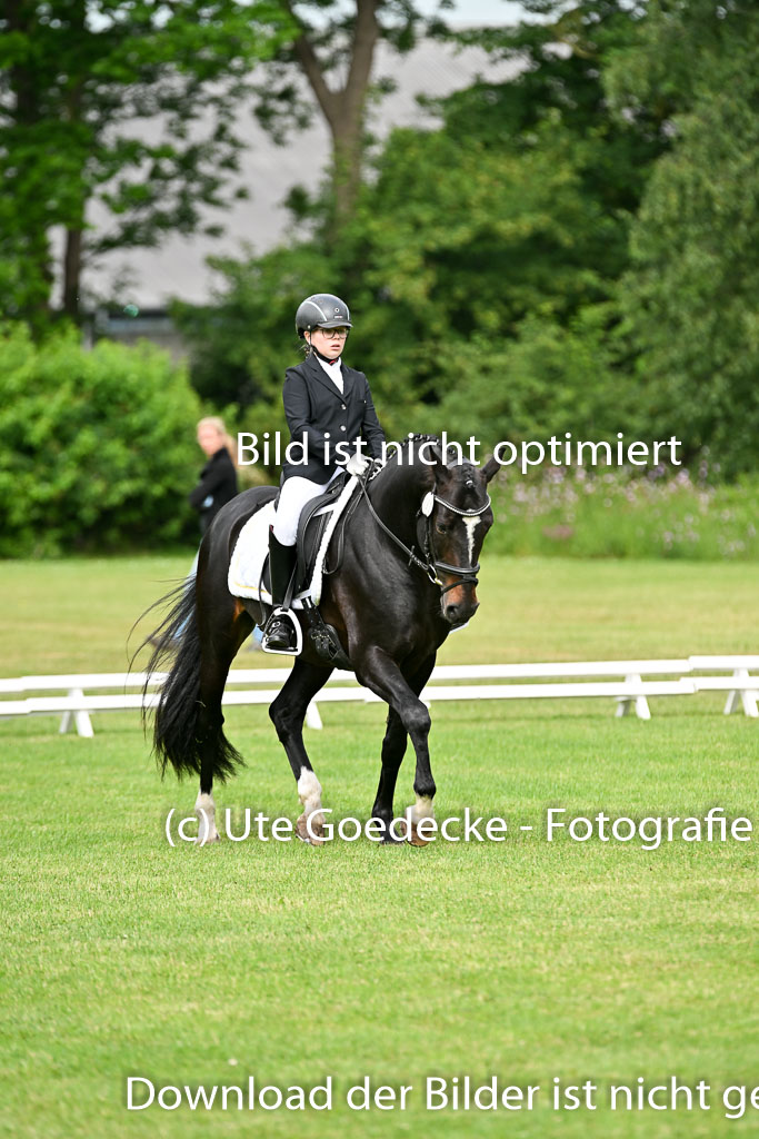  | 30052025 Dressur  (705) 
