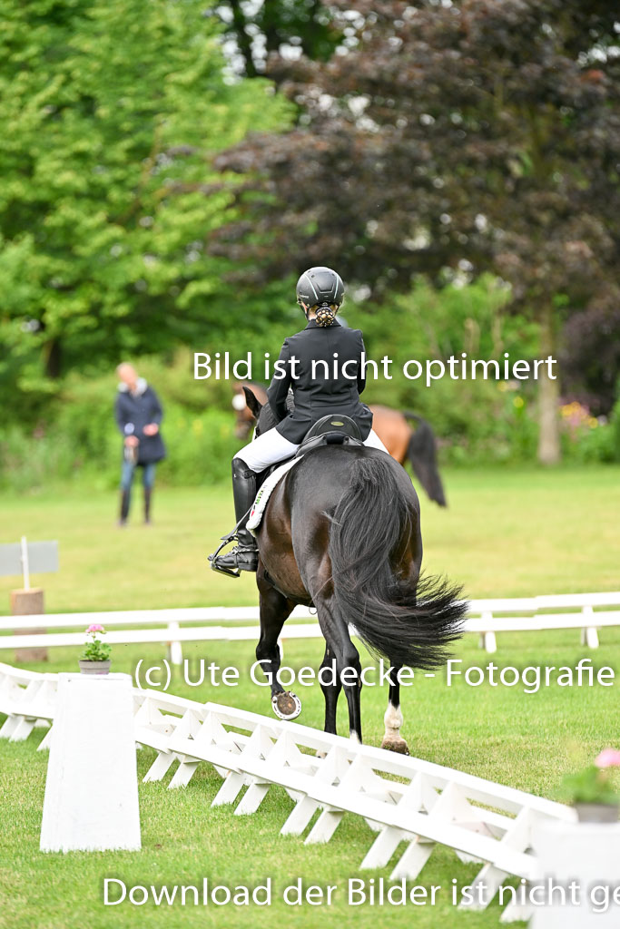  | 30052025 Dressur  (712) 