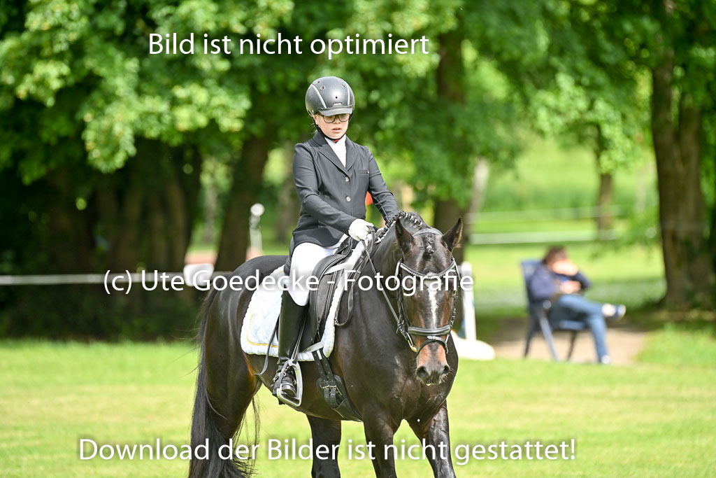  | 30052025 Dressur  (716) 