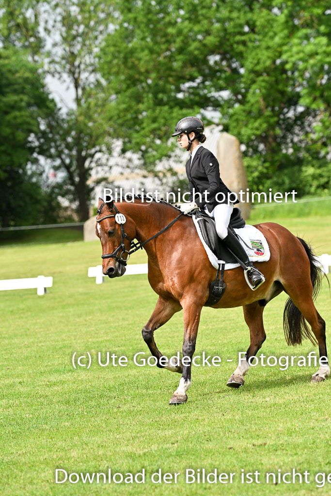 | 30052025 Dressur  (717) 