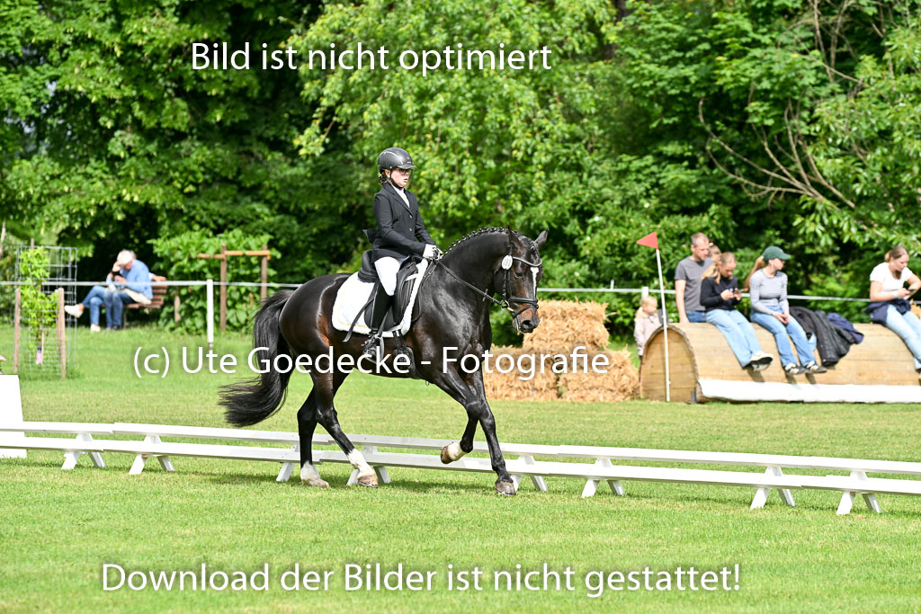  | 30052025 Dressur  (725) 