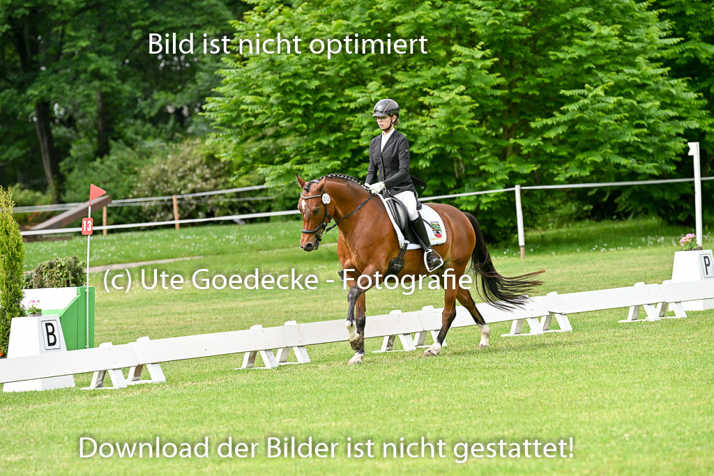  | 30052025 Dressur  (730) 