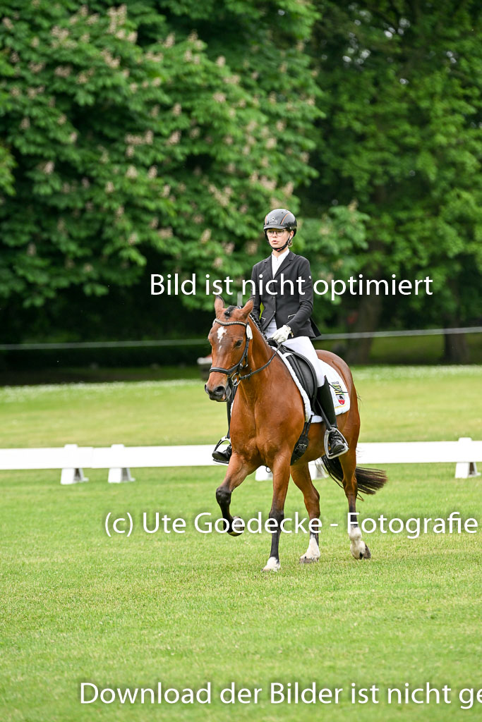  | 30052025 Dressur  (735) 