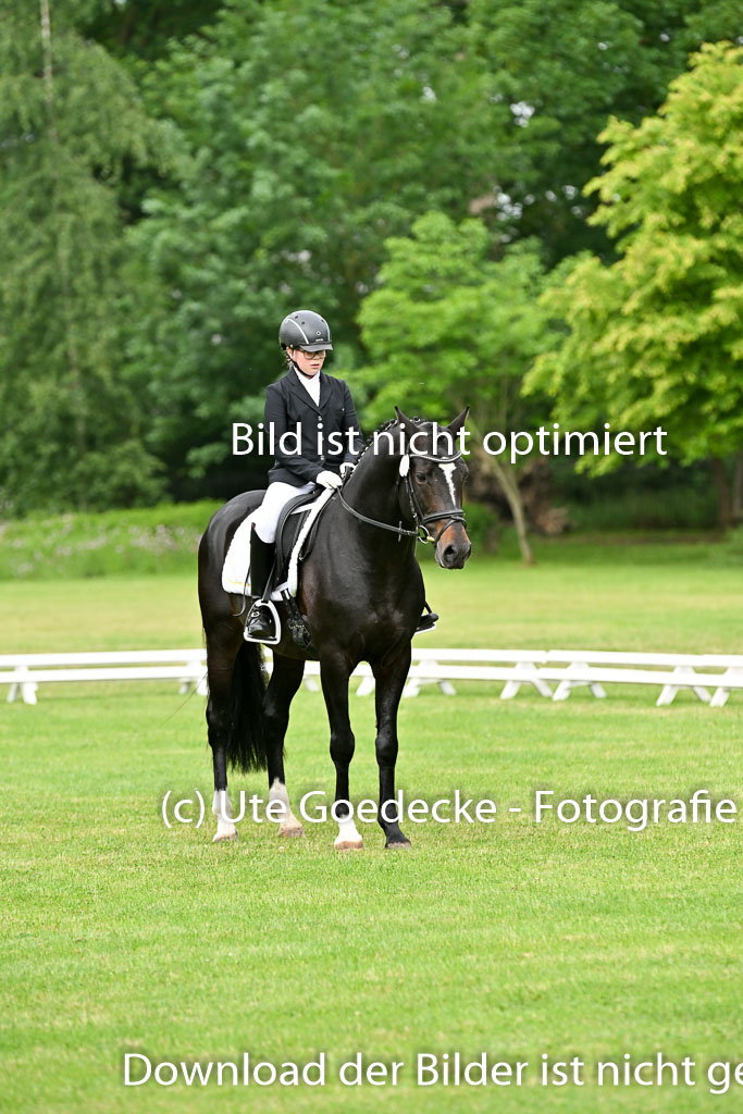  | 30052025 Dressur  (738) 