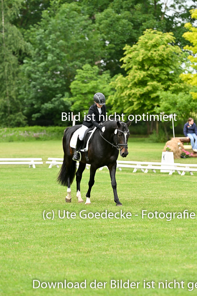  | 30052025 Dressur  (739) 