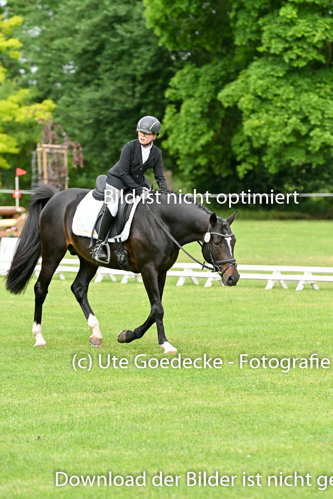  | 30052025 Dressur  (740) 