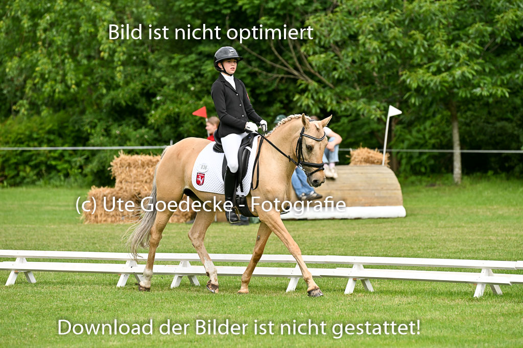  | 30052025 Dressur  (749) 