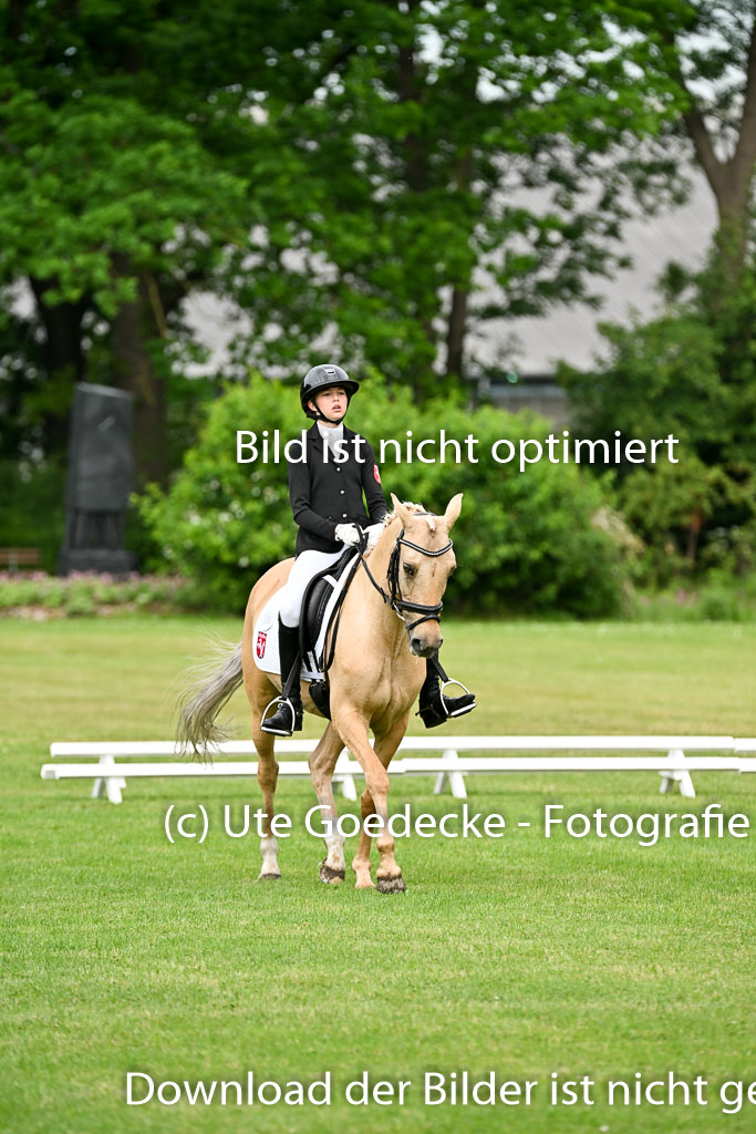  | 30052025 Dressur  (752) 