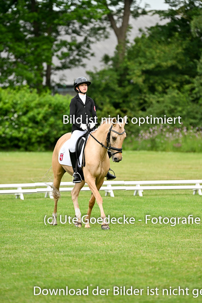  | 30052025 Dressur  (753) 