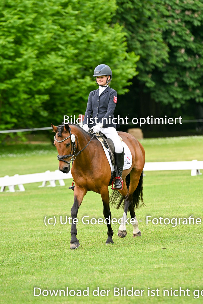  | 30052025 Dressur  (762) 