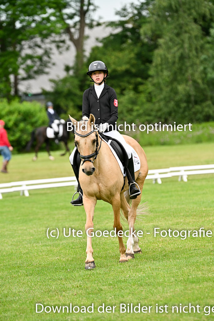  | 30052025 Dressur  (764) 