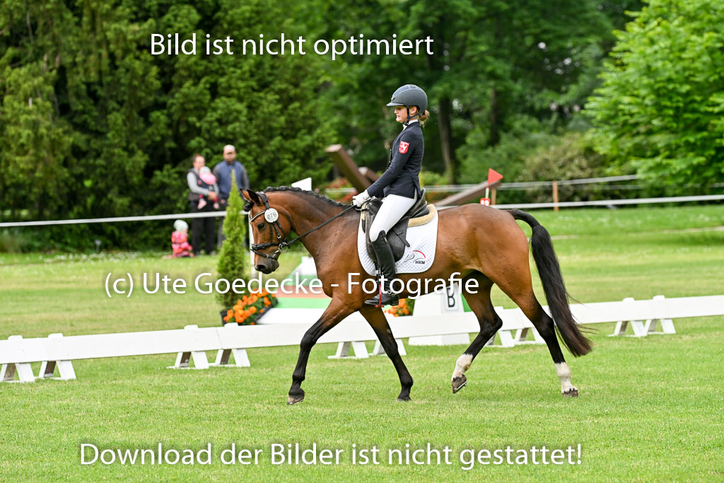  | 30052025 Dressur  (768) 