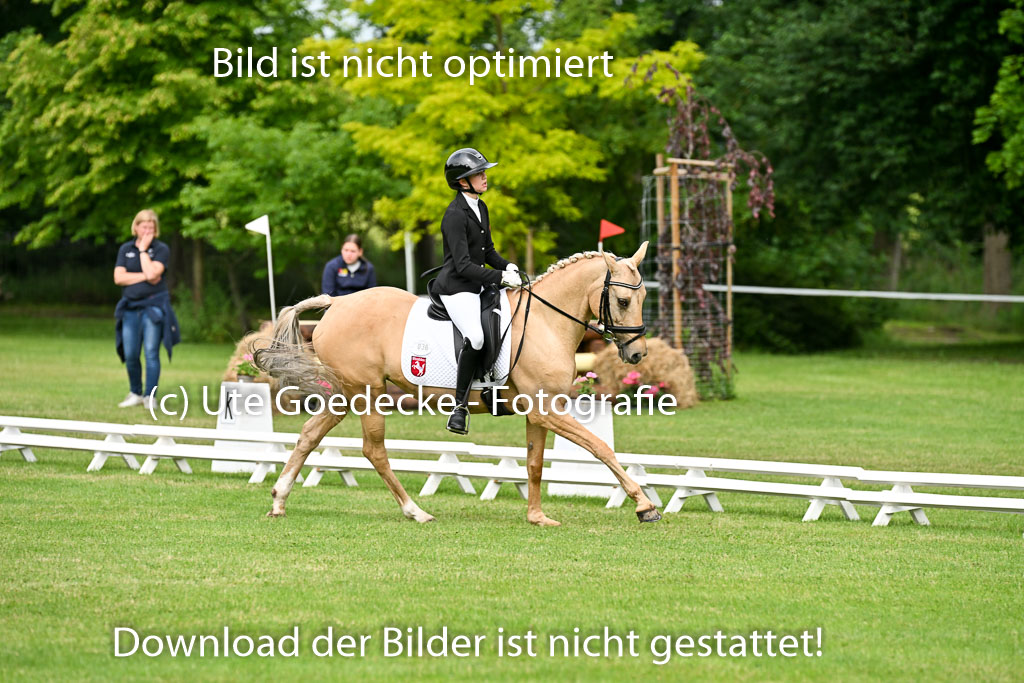  | 30052025 Dressur  (775) 