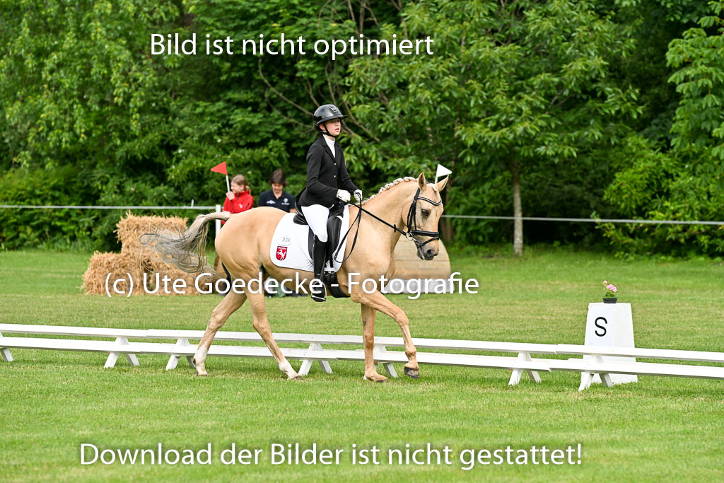  | 30052025 Dressur  (779) 