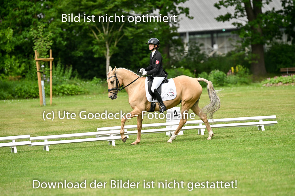30052025-Dressur-789.jpg