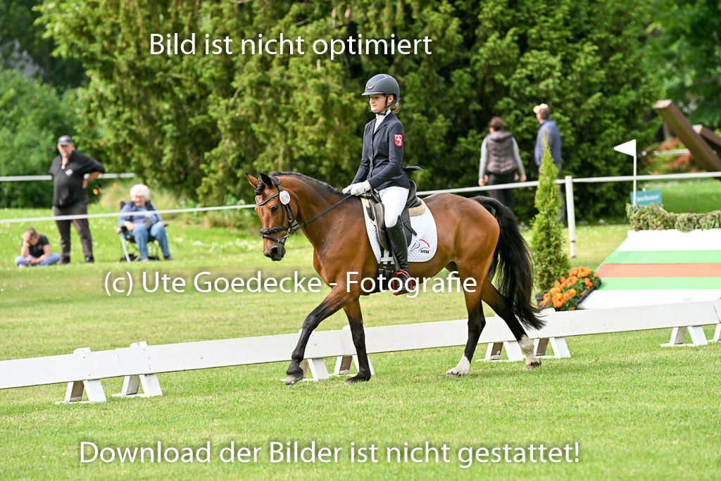  | 30052025 Dressur  (793) 