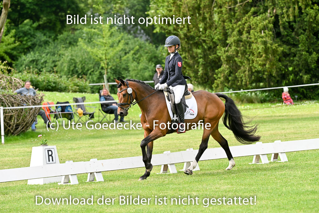  | 30052025 Dressur  (794) 