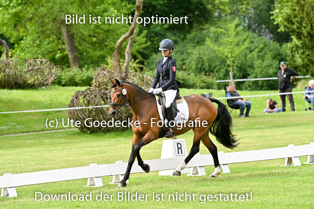  | 30052025 Dressur  (795) 