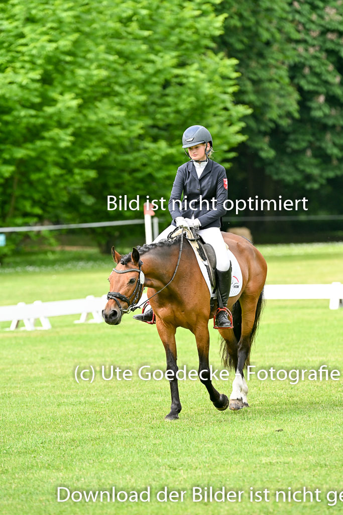  | 30052025 Dressur  (802) 