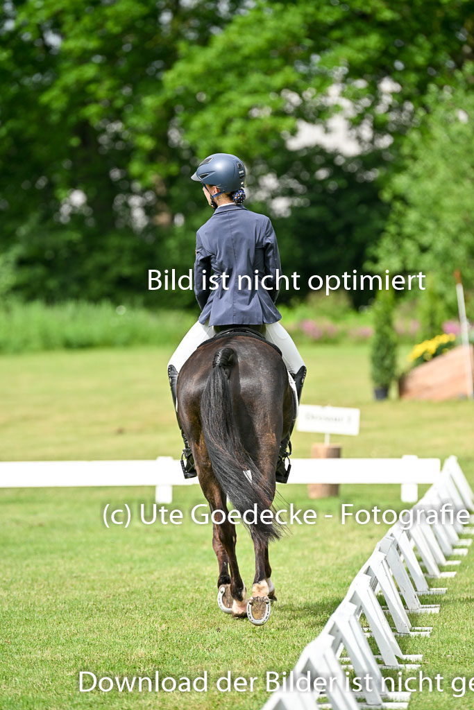  | 30052025 Dressur  (804) 